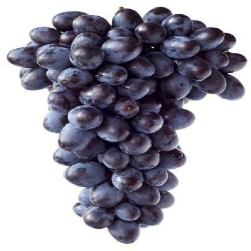 Organic Healthy And Natural Fresh Black Grapes