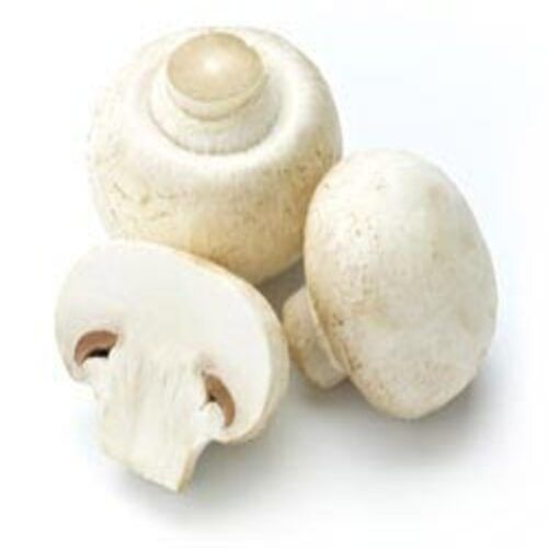 Healthy and Natural Fresh Button Mushroom