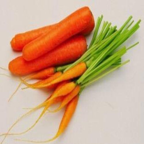  स्वस्थ और प्राकृतिक ताजा गाजर 