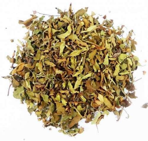 Basil Herbal Green Tea