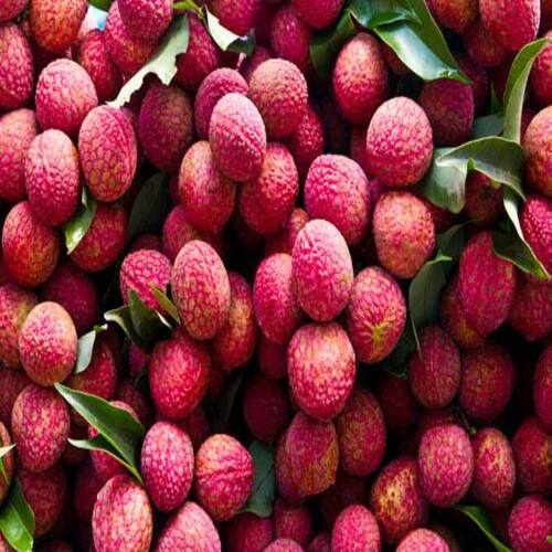 Healthy And Natural Fresh Lychee