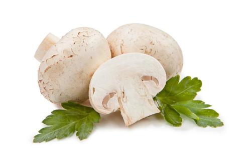 Healthy and Natural Fresh Mushrooms