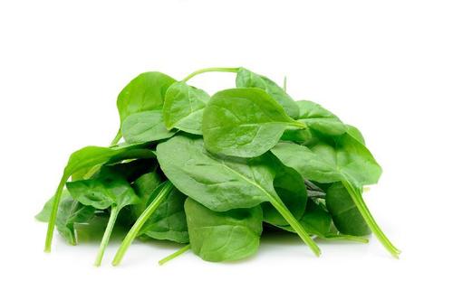 Healthy and Natural Fresh Spinach