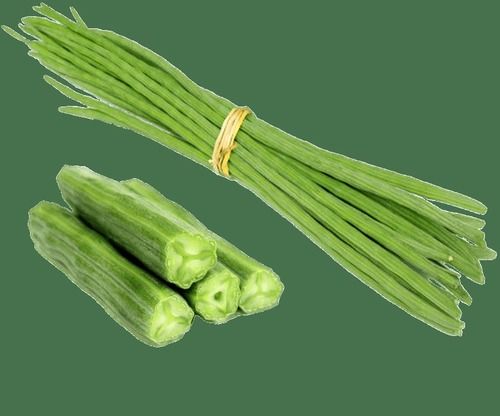 Green Fresh Drumstick For Vegetable Moisture (%): High