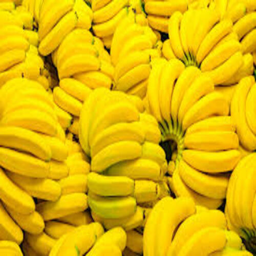 Fresh Whole Yellow Bananas - Standard Size for Juices, Snacks, and Foods | Sweet Natural Taste, Very Good Quality, Non Harmful, Low Calorie (89), Store in Cool and Dry Place