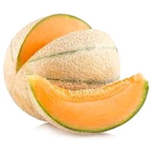 Healthy And Natural Fresh Muskmelon