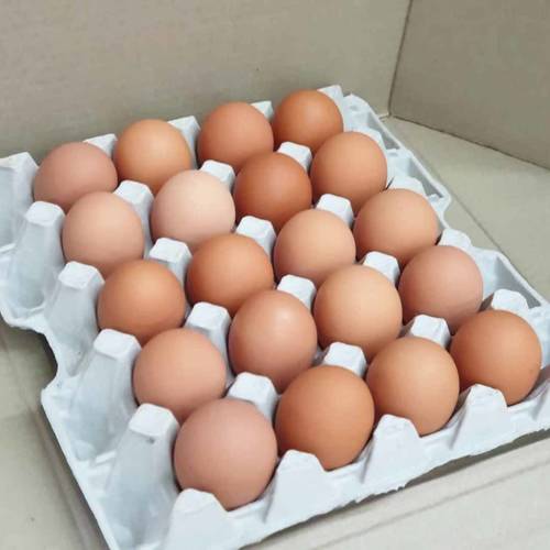 Natural Cobb Chicks Eggs