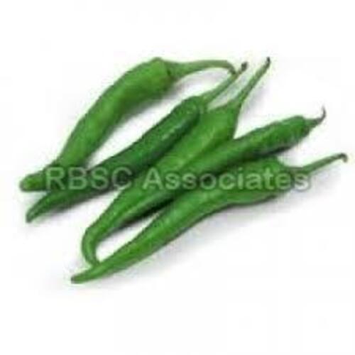 Healthy And Natural Fresh Green Chilli Shelf Life: 10-15 Days