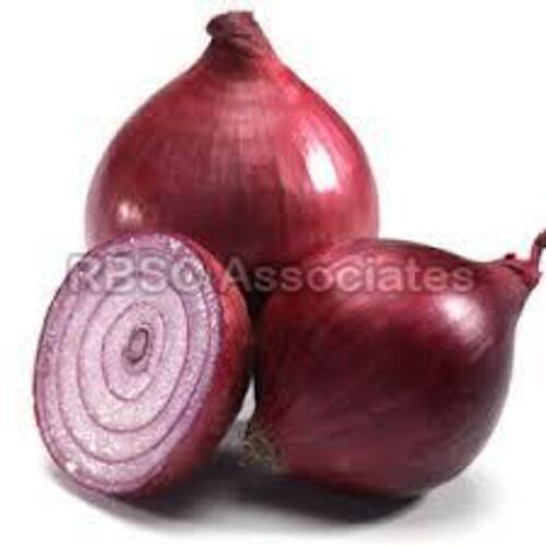 Healthy and Natural Fresh Onion
