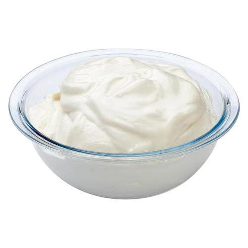 Starter Culture For Curd (Dahi)