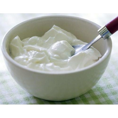 Original Starter Culture For Curd (Dahi)