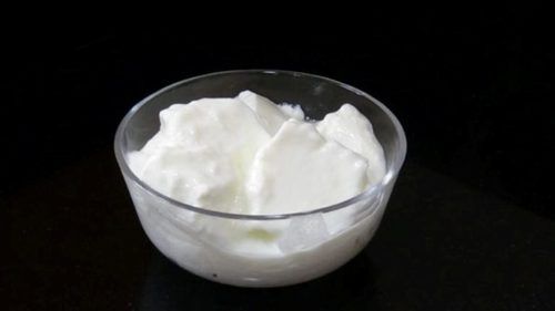 Original Starter Culture For Curd (Dahi)