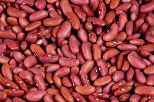 100% Dried Natural Kidney Beans with Maximum Moisture of 15% 