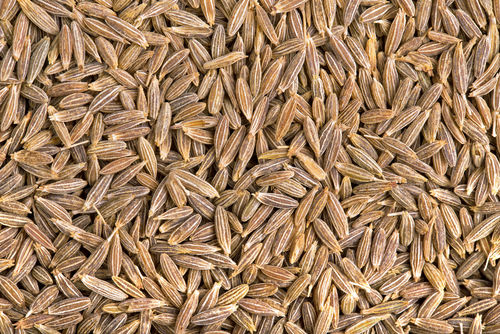 Natural 100% Organic Cumin Seeds