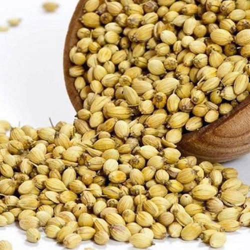 Healthy and Natural Coriander Seeds