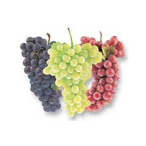 Organic Healthy And Natural Fresh Grapes