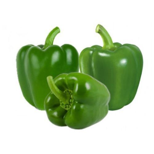 Healthy And Natural Fresh Capsicum Shelf Life: 8-10 Days