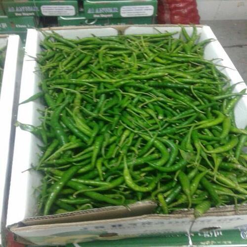 Healthy and Natural Fresh Green Chilli