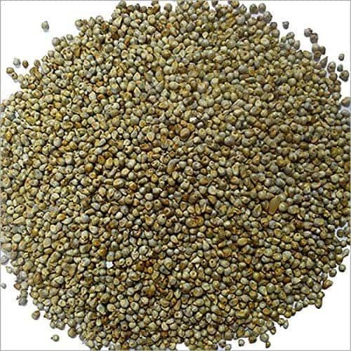 100% Pure and Unadultered Green Dried Millet (Bajra)