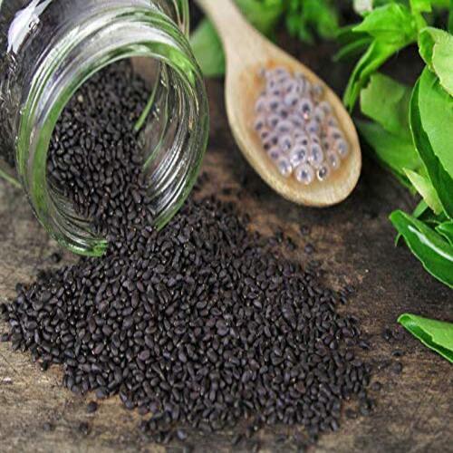 A Grade Basil Seeds