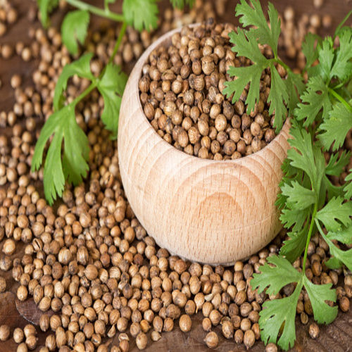 A Grade Coriander Seeds