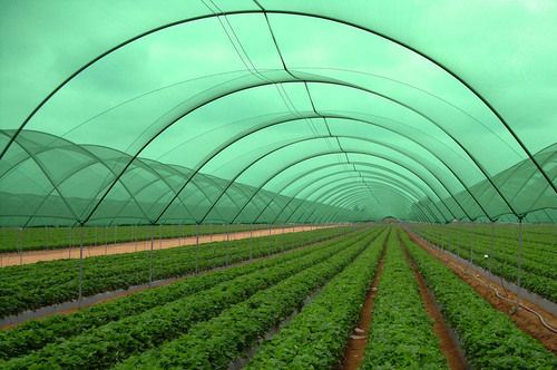 Green House Shade Net Base Material: Hdpe