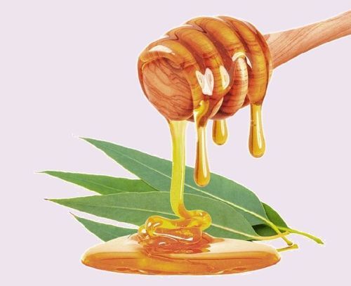 Healthy and Natural Eucalyptus Honey