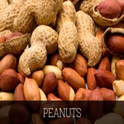 Healthy and Natural Shelled Peanuts
