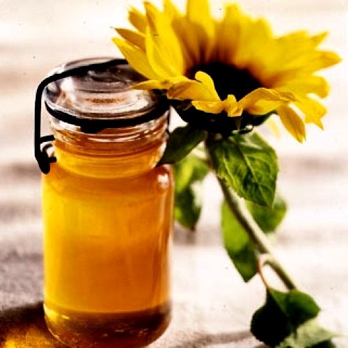 Healthy and Natural Sunflower Honey