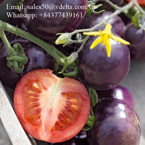 Natural Fresh Tomato Black