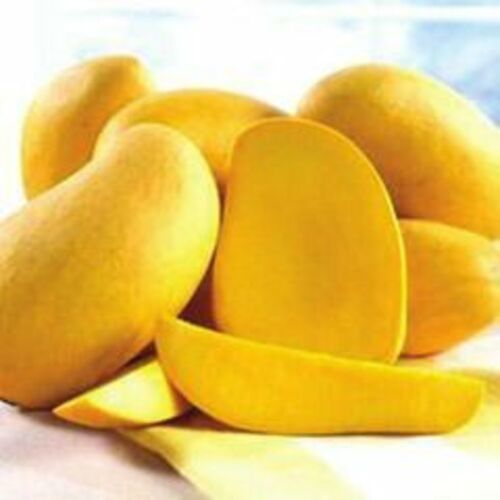 Healthy and Natural Fresh Banginapalli Mango