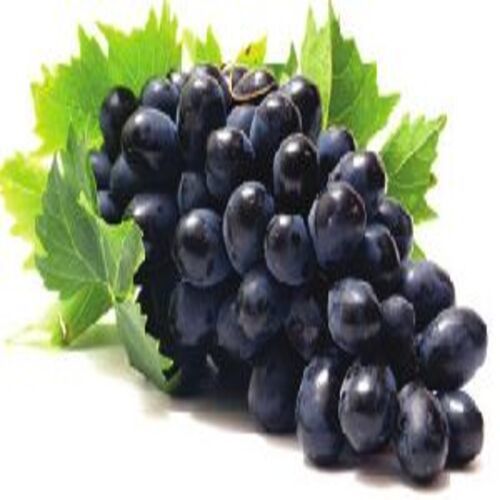 Healthy And Natural Fresh Black Grapes