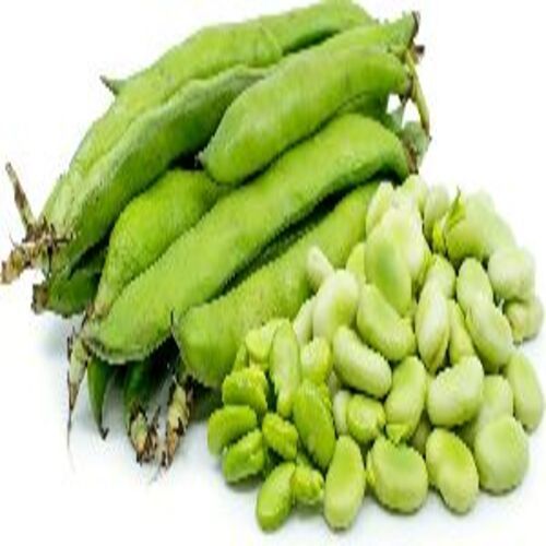 Healthy and Natural Fresh Broad Beans