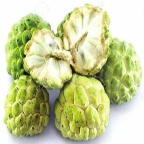 Healthy and Natural Fresh Custard Apple