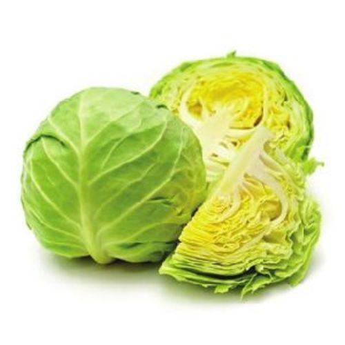 Healthy and Natural Fresh Green Cabbage