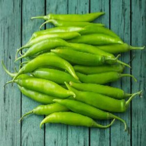 Healthy and Natural Fresh Green Chilli