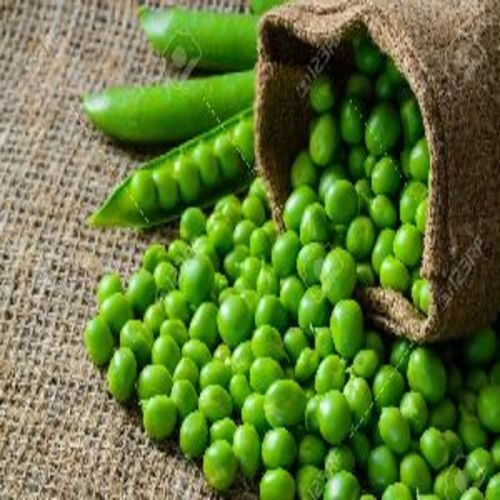 Healthy And Natural Fresh Green Peas Shelf Life: 5-7 Days