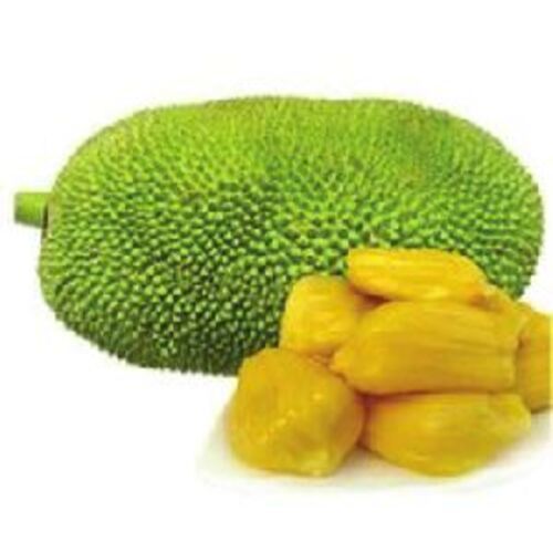 Healthy And Natural Fresh Jackfruit