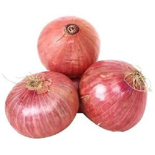 Healthy and Natural Fresh Natural Onion