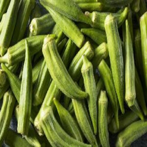 Healthy and Natural Fresh Okra