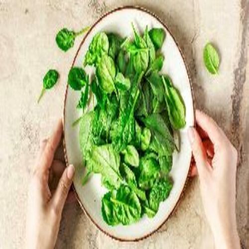 Healthy And Natural Fresh Spinach