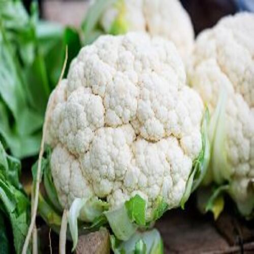 Healthy and Natural Fresh Cauliflower - Organic Green Vegetable, Packaged in Jute and Plastic Bags (10-20kg) | Very Good Food Grade Quality with Natural Taste, Non Harmful