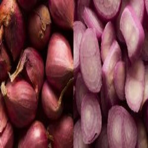 स्वस्थ और प्राकृतिक ताजा शालोट प्याज