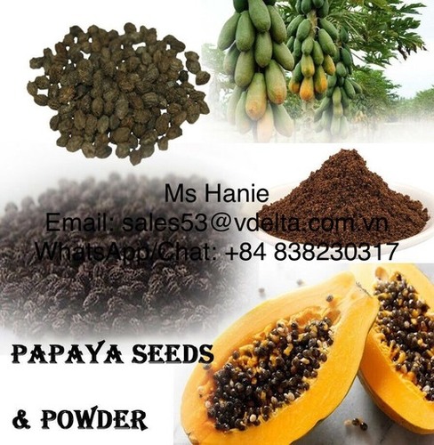 High Quality Dried Papaya Seed, Papaya Seed Powder
