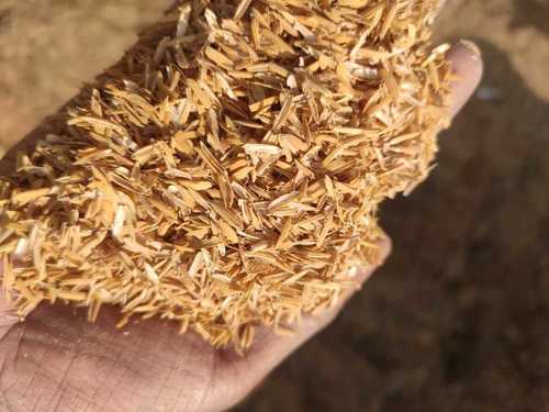 Agriculture Rice Husk