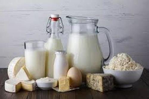 Original Fresh Cold Stored Dairy Ingredients Culture