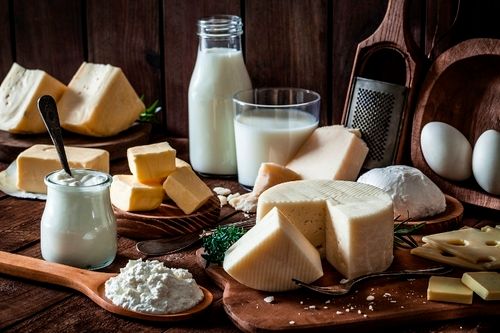 Fresh Cold Stored Dairy Ingredients Culture