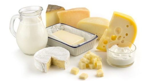 Fresh Cold Stored Dairy Ingredients Culture