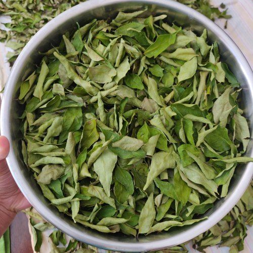 Green Dried Curry Leaves Grade: A