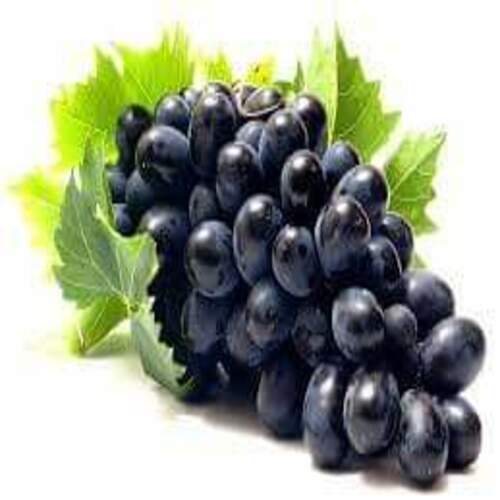 Healthy And Natural Fresh Black Grapes